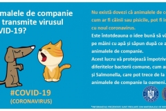 big_6_martie_-_mituri_infirmate_despre_coronavirus_1